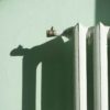 Как сэкономить на газе и электричестве в Германии: радиатор отопления у стены
