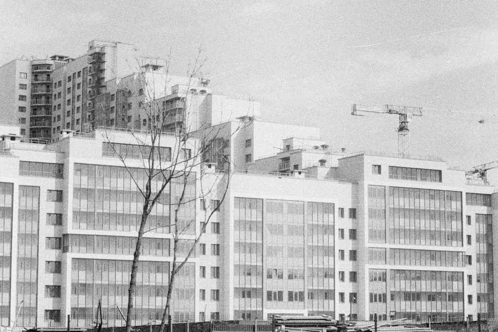 Новостройка в Шушарах под Петербургом — рынок жилья России 2026